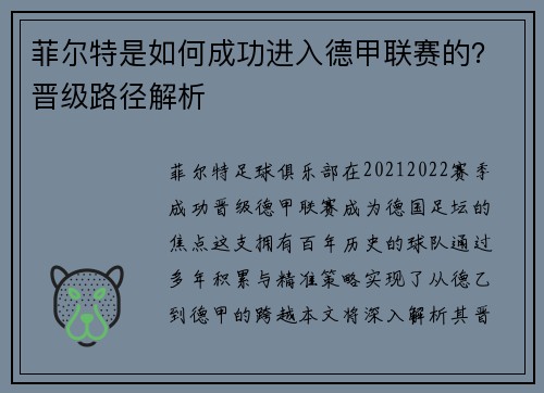 菲尔特是如何成功进入德甲联赛的？晋级路径解析
